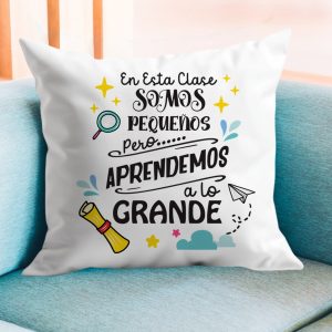 Cojín, para profe, aprendemos a lo grande