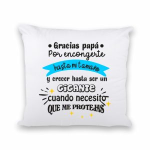 Cojín regalo para papá, ref:34